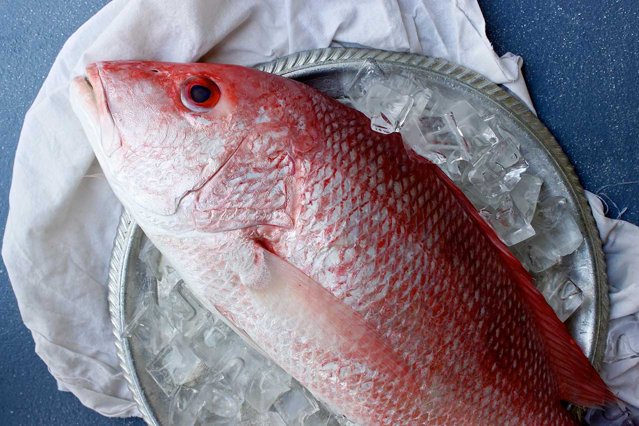 Atlanta Fish Market Fresh Snapper